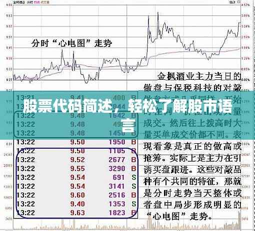 股票代码简述,轻松了解股市语言