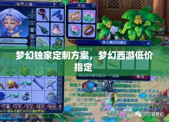 梦幻独家定制方案,梦幻西游低价指定