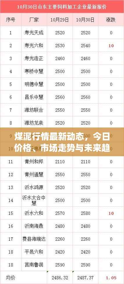 煤泥行情最新动态,今日价格、市场走势与未来趋势分析