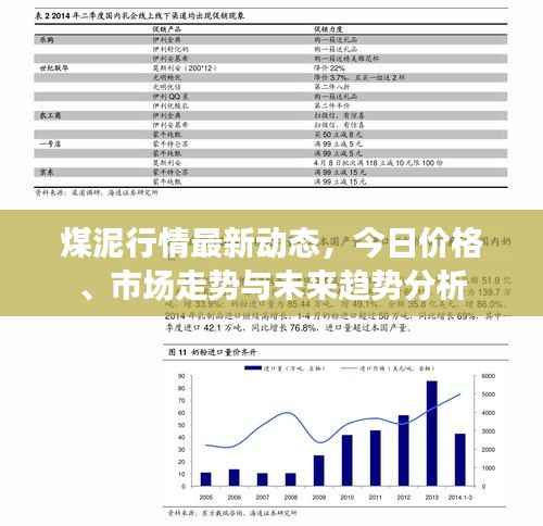 煤泥行情最新动态,今日价格、市场走势与未来趋势分析