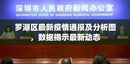 罗湖区最新疫情通报及分析图,数据揭示最新动态