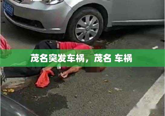 茂名突发车祸,茂名 车祸