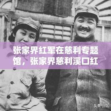 张家界红军在慈利专题馆,张家界慈利溪口红军树有感