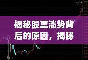 揭秘股票涨势背后的原因,揭秘股票为何会在2015年大涨?