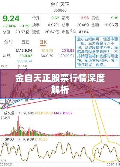 金自天正股票行情深度解析