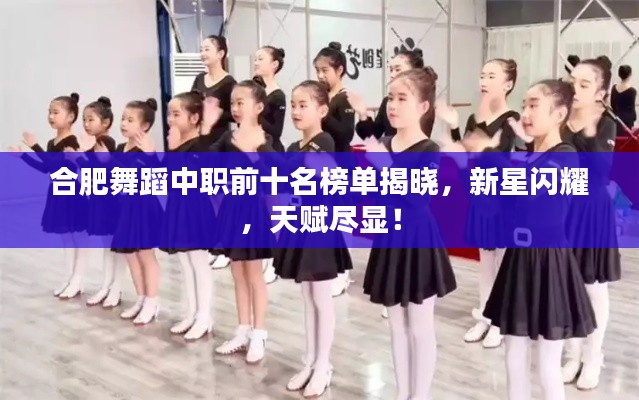 合肥舞蹈中职前十名榜单揭晓,新星闪耀,天赋尽显!
