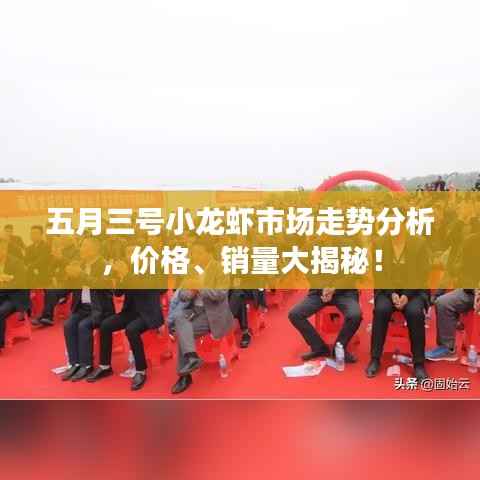 五月三号小龙虾市场走势分析,价格、销量大揭秘!