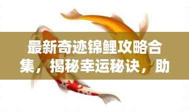 最新奇迹锦鲤攻略合集，揭秘幸运秘诀，助您成为锦鲤大师！